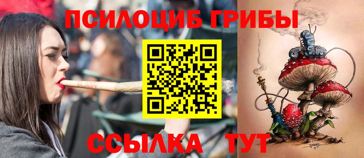 где найти   Галлюциногенные грибы ЛСД  Вход с VPN  Псилоцибиновые грибы ЛСД  Ивантеевка 